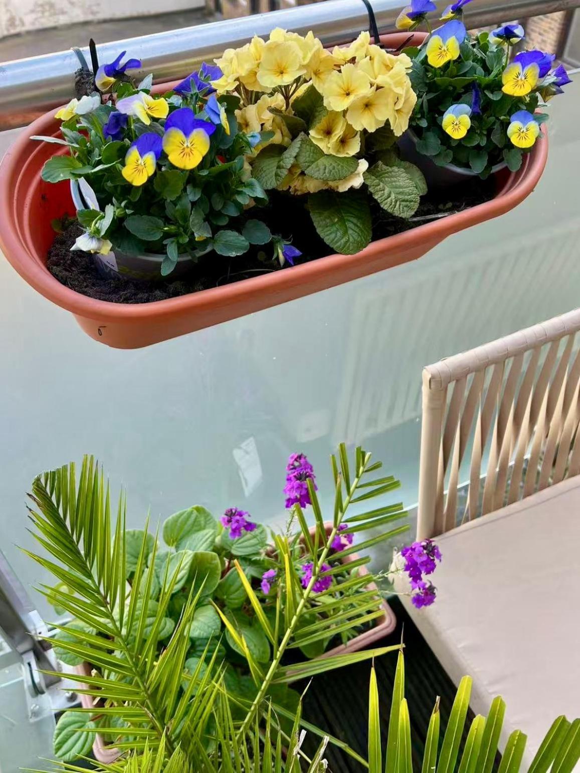 Apartament Spacious Duplex Flat West For Families & Groups
